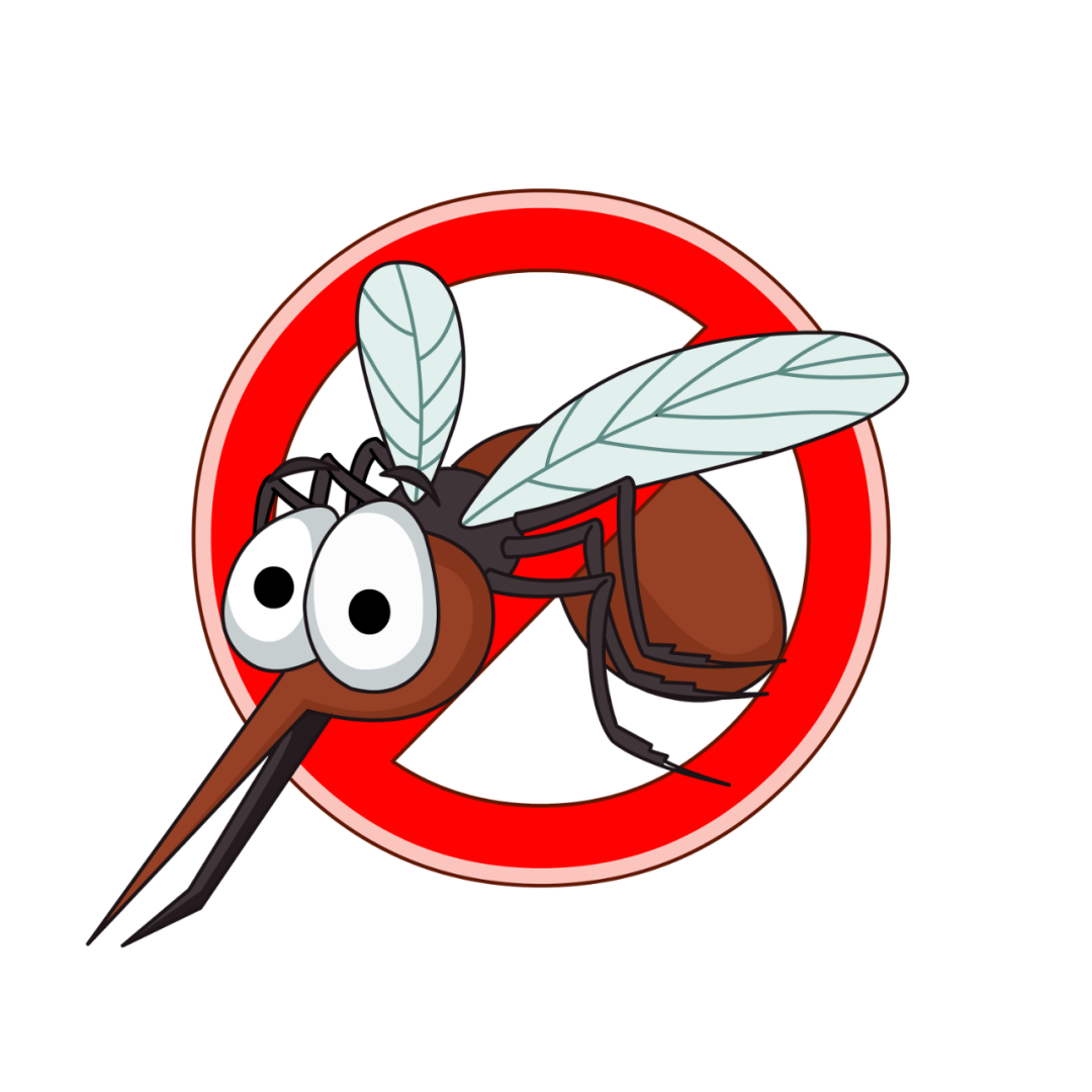 落实细化蚊媒传染病疫情防控措施